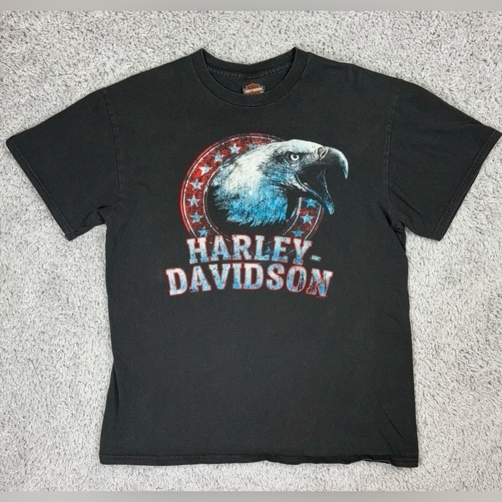 Harley Davidson Shirt Mens Large Crewneck Eagle 2020 Motorcycles Bikercore Moto